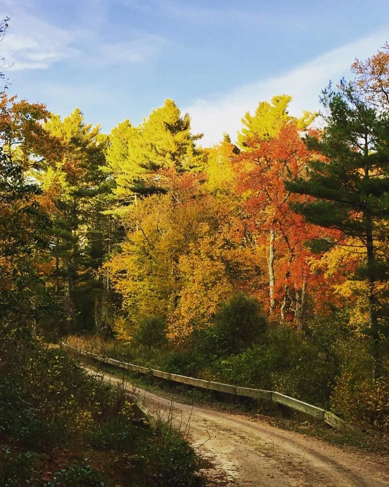 fall.jpg