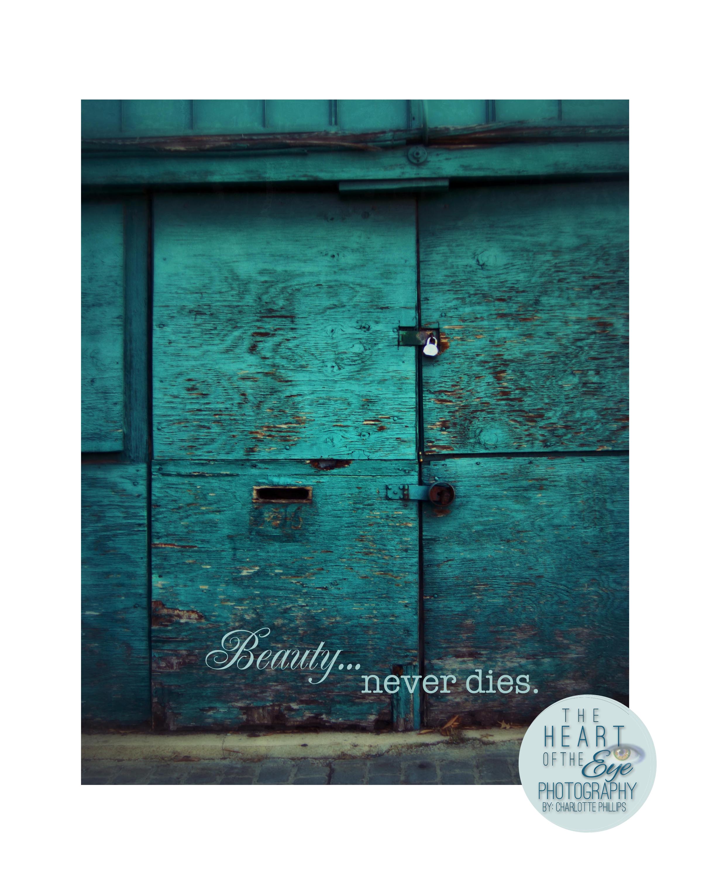 Old Weathered Turquoise Door, Birmingham Alabama