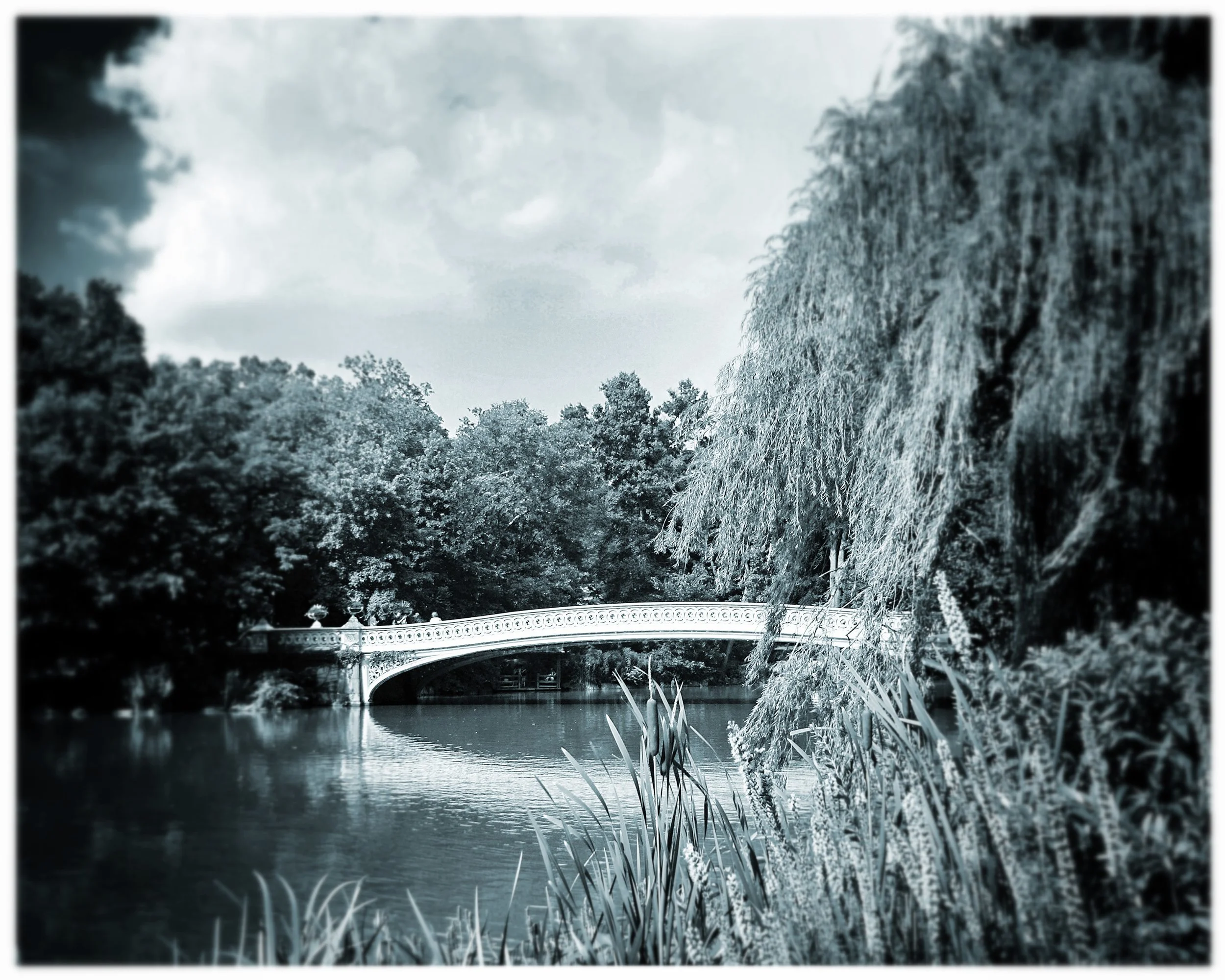8 x 10 Bow Bridge Black and white_Snapseed.jpg