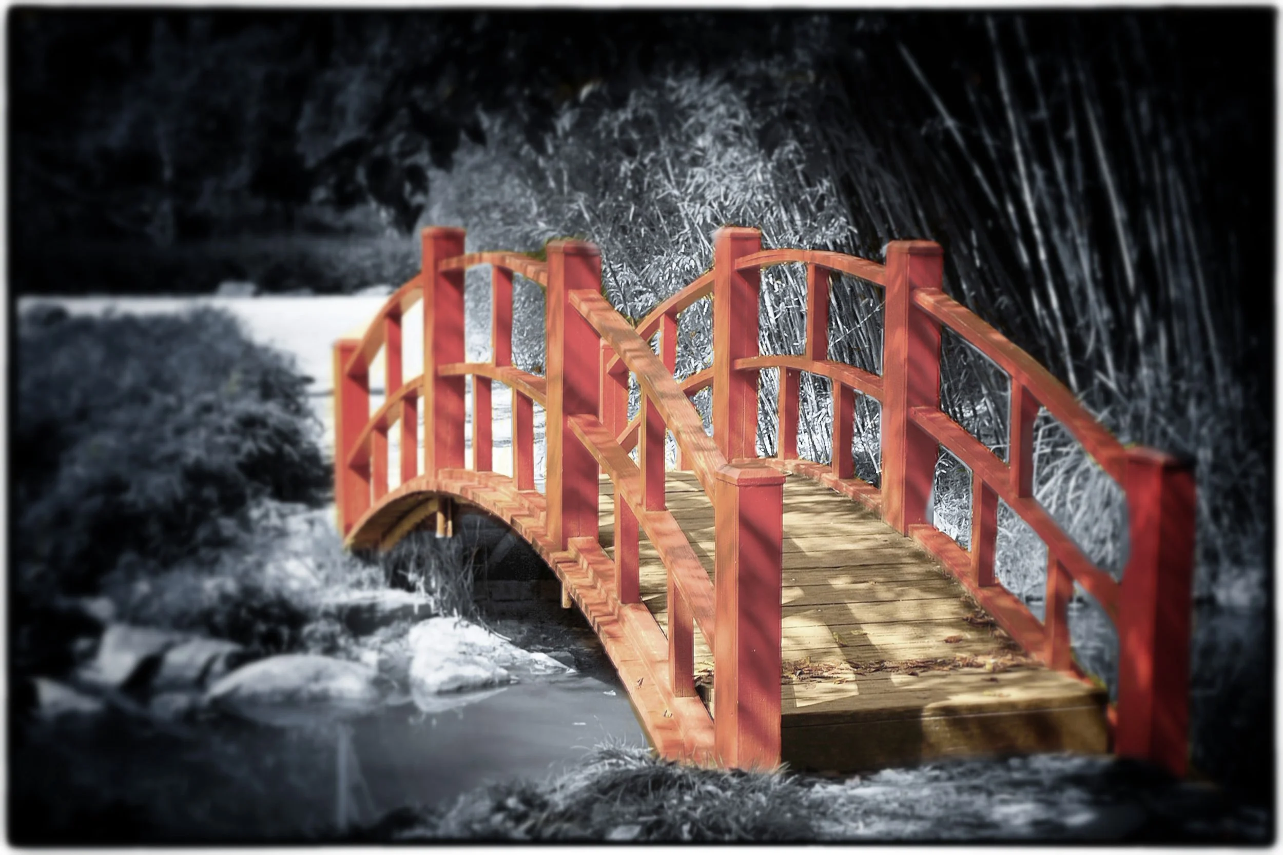 red bridge opening red 2_Snapseed.jpg