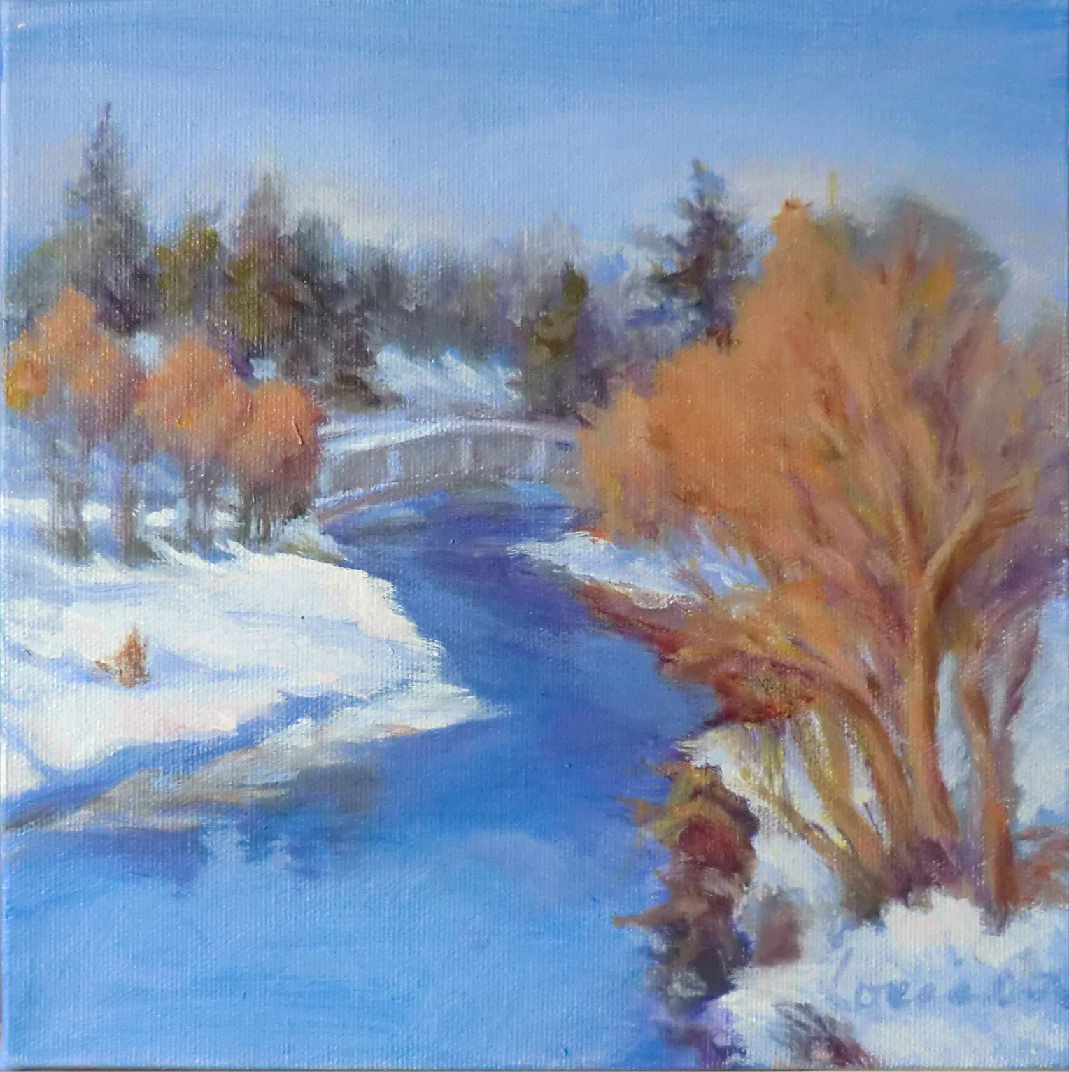 Edwards Gardens 2/November Snow