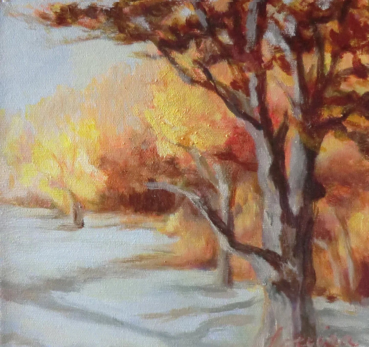 Edwards Gardens 4/Yellow Trees