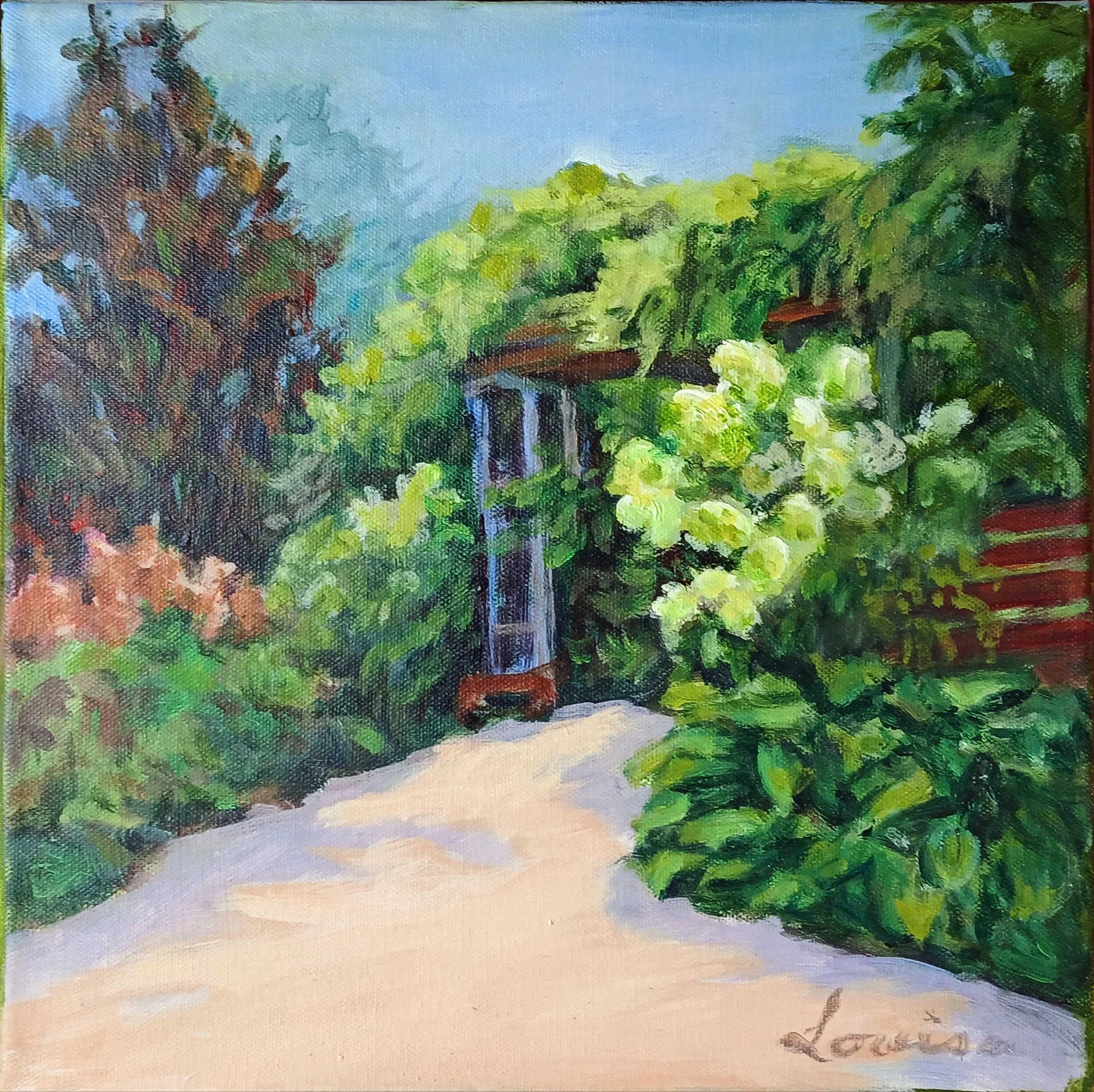 Hydrangeas in Summer