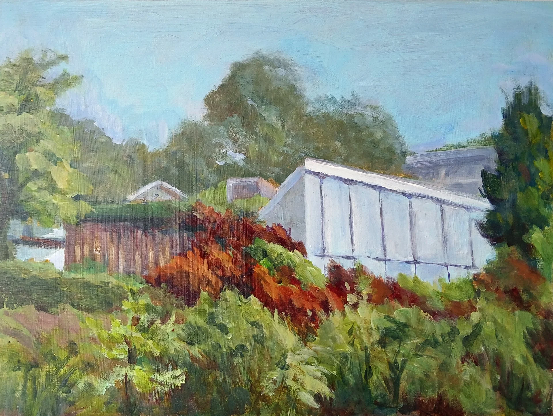 Surrounding by Trees