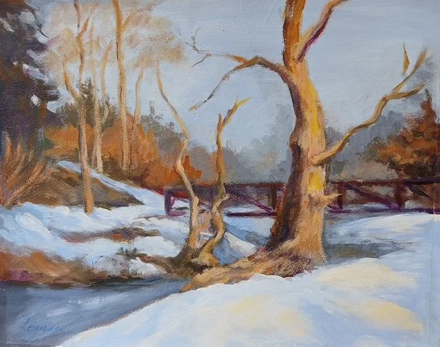 Winter Bridge in Edwards Gardens