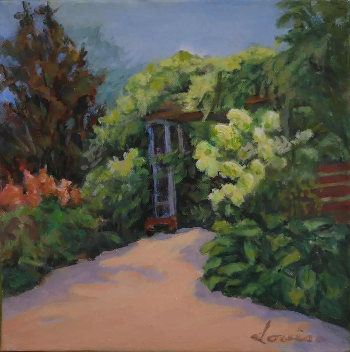 Hydrangeas in Summer - Edwards Gardens 