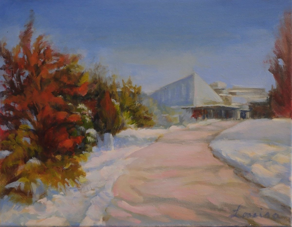 Winter Path - Edwards Gardens