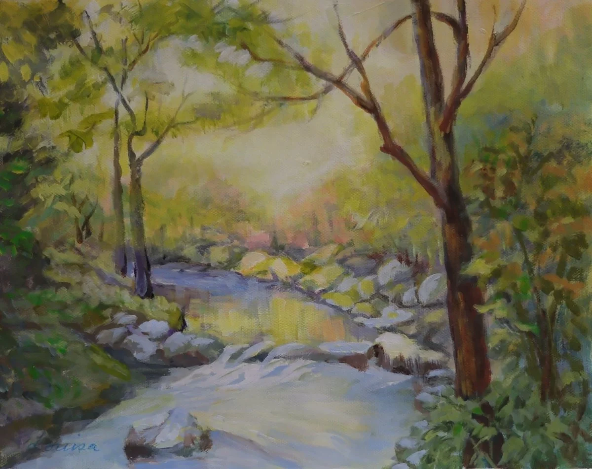 Babbling Brook - Edwards Gardens