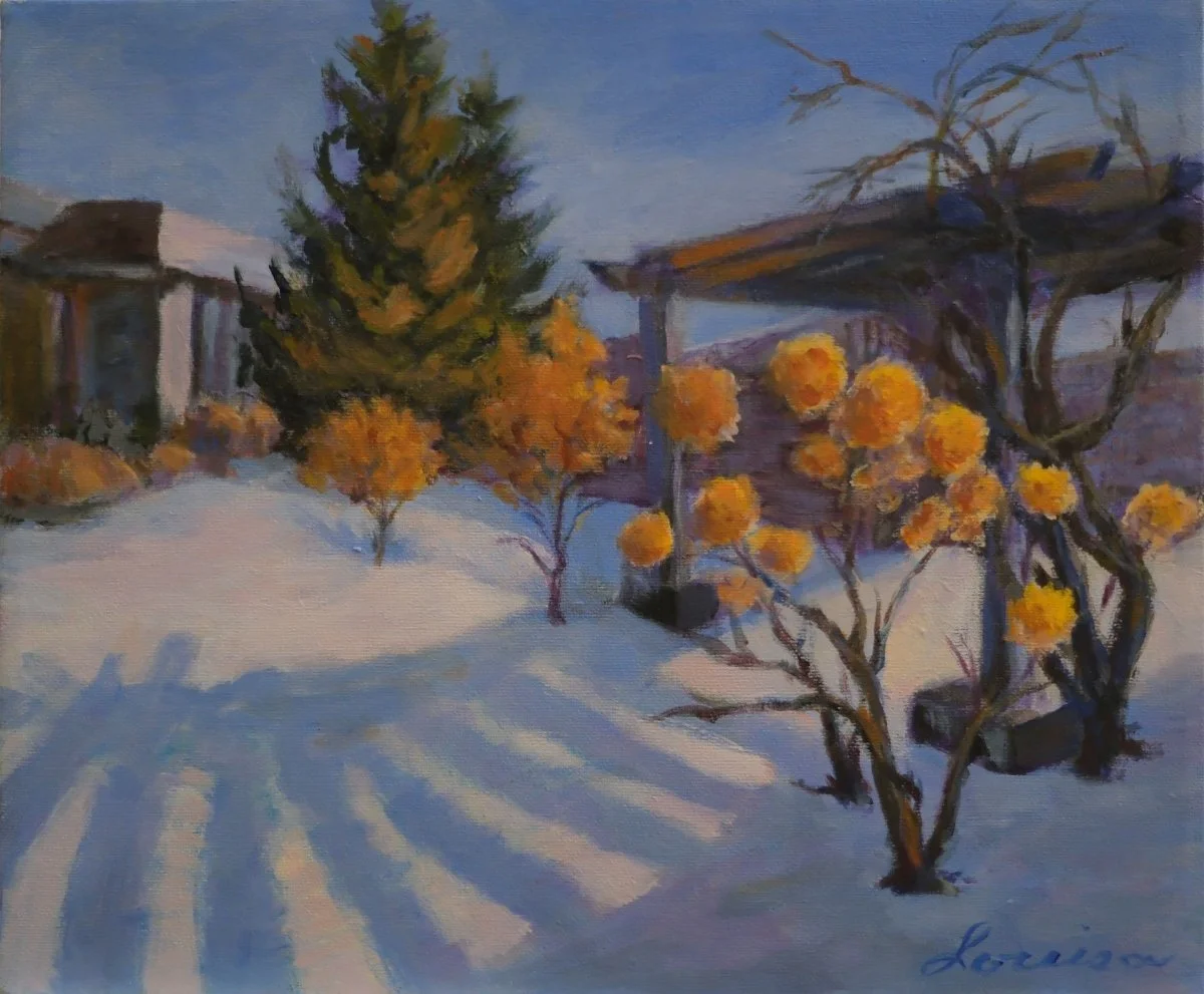 Hydrangeas in Winter - Edwards Gardens