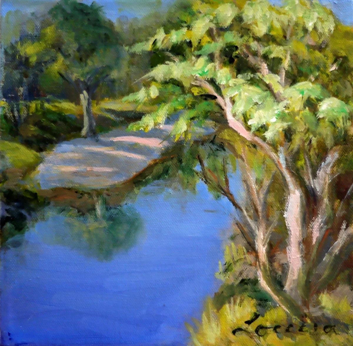 Close to the Little Creek - Edwards Gardens