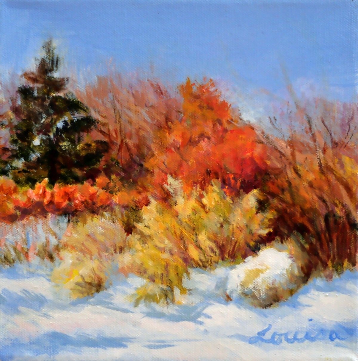 Early Snow - Edwards Gardens