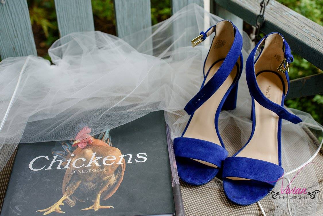 the-brides-blue-highheels-on-display.jpg