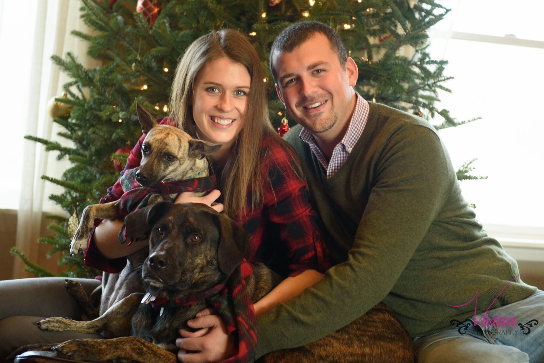 couple-holding-dogs-in-front-of-tree.jpg