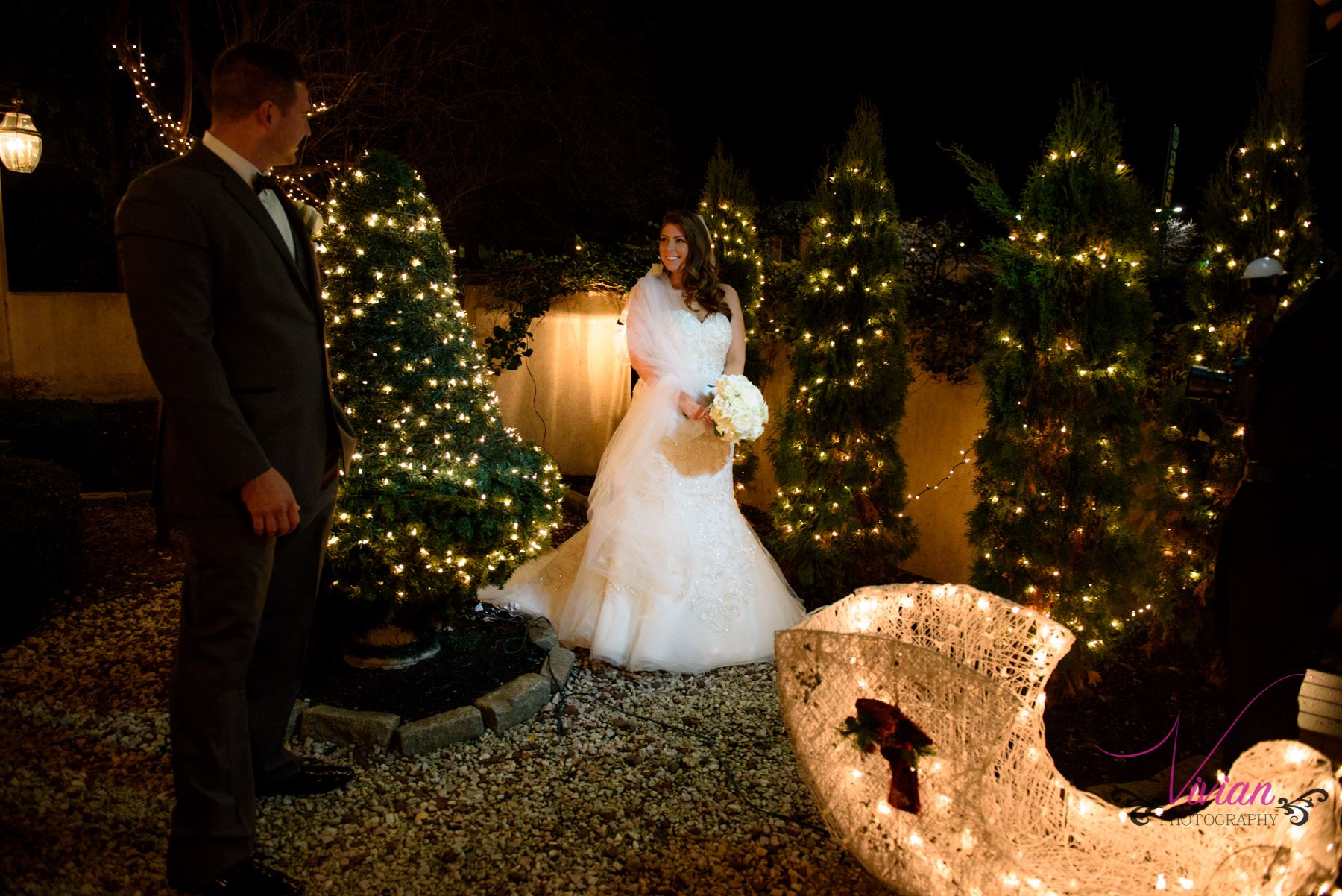 bride-groom-posing-in-christmas-tree.jpg