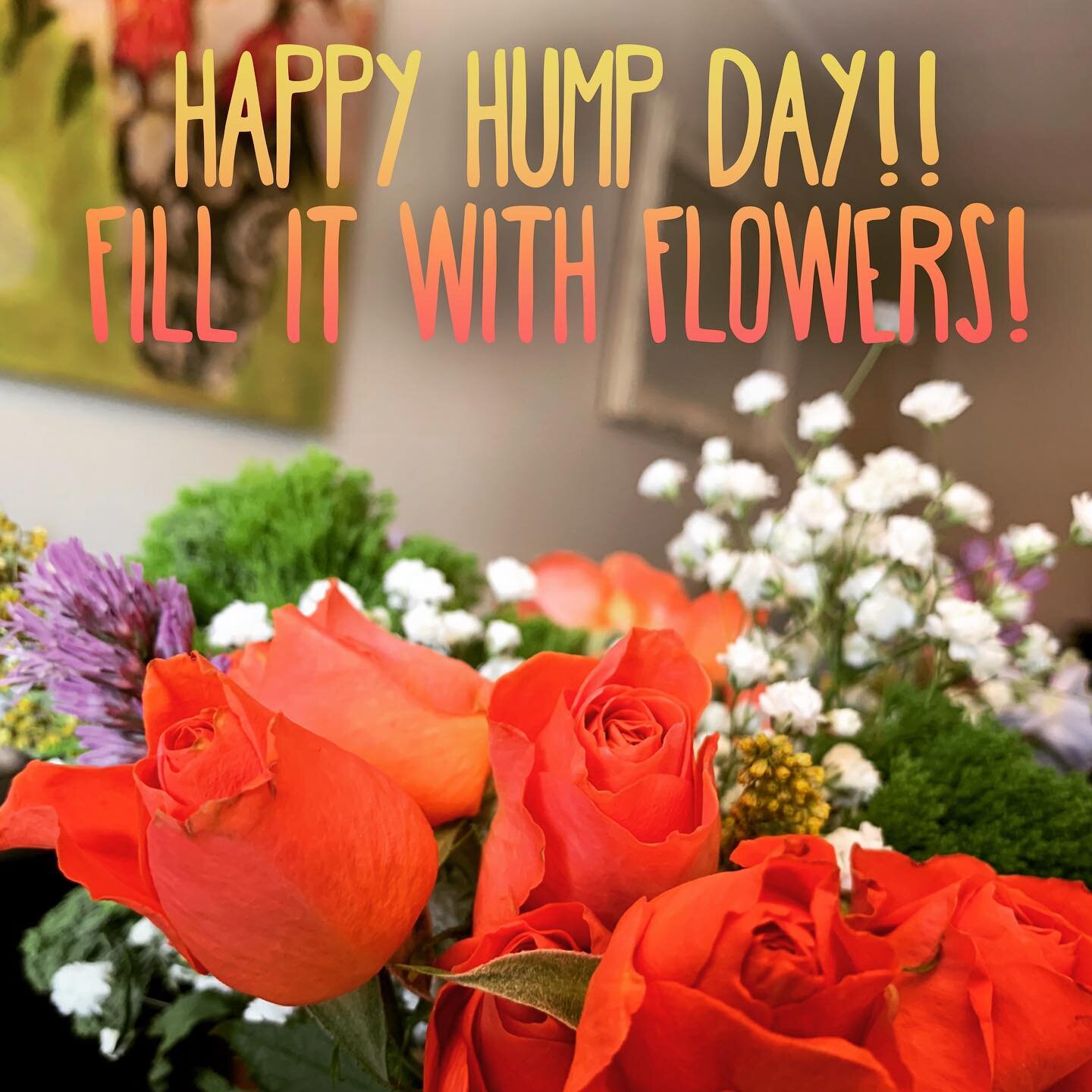 Hump dayyyyyyyy!!! Make it a good one!! #wednesday #humpdayvibes #humpday #Inspire #Inspiration #colorinspiration #ShopSmallTown #flowerpower #SeedsGardenBoutique #roses #coral #adamsfairacrefarms #seedstarting #FlowerFarm #LocustGroveFruitFarm #Milt