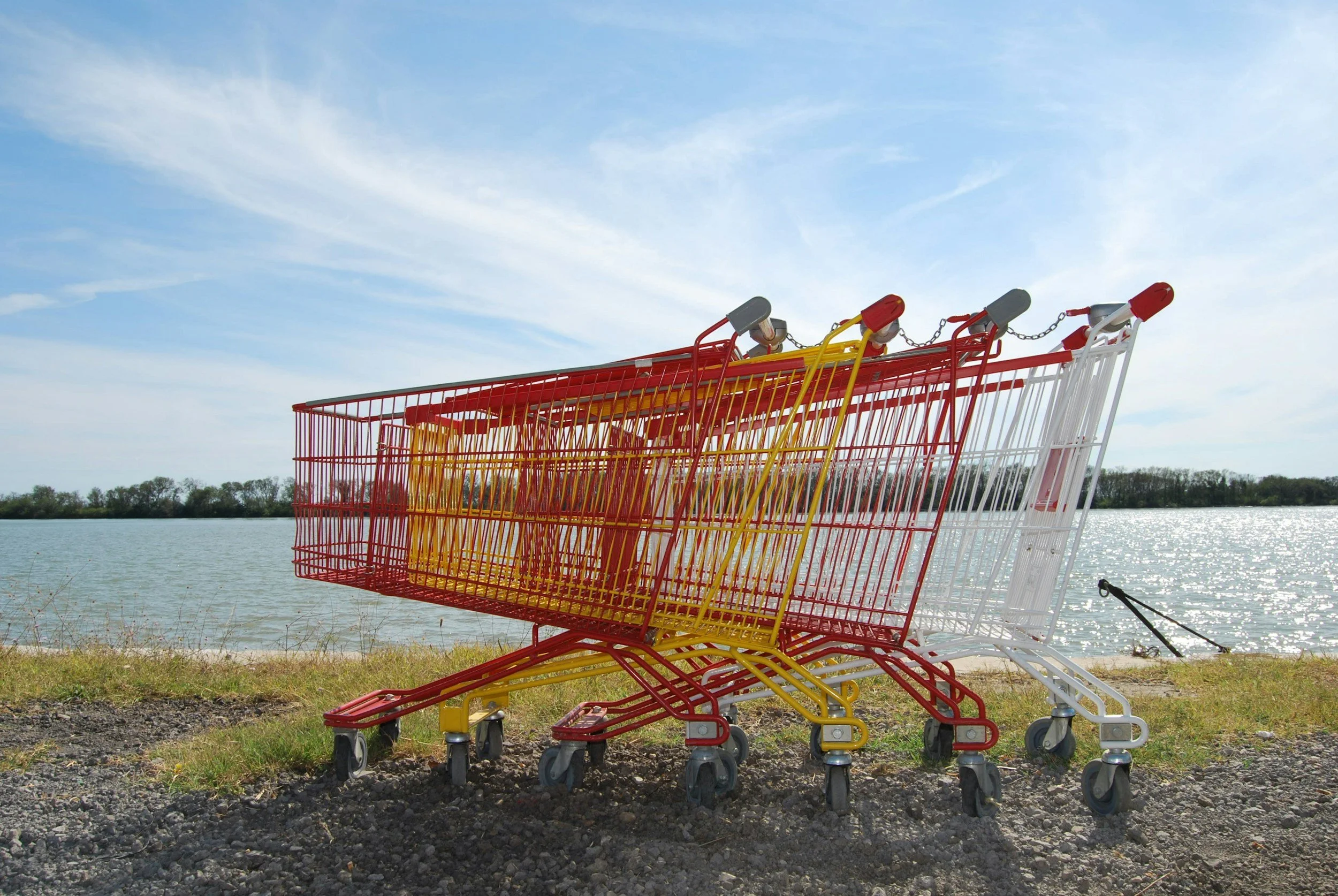 Tapping into the Conscious Consumer: Marketing Insights for Eco-Friendly CPG Brands