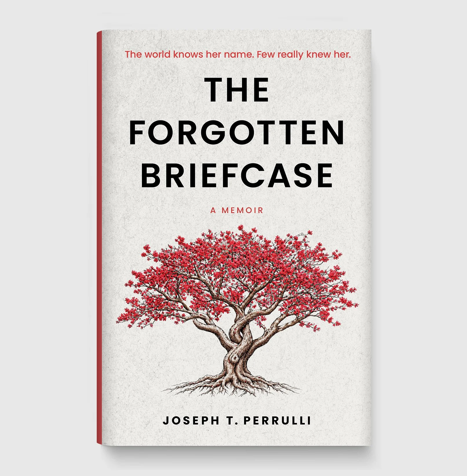 The Forgotten Briefcase