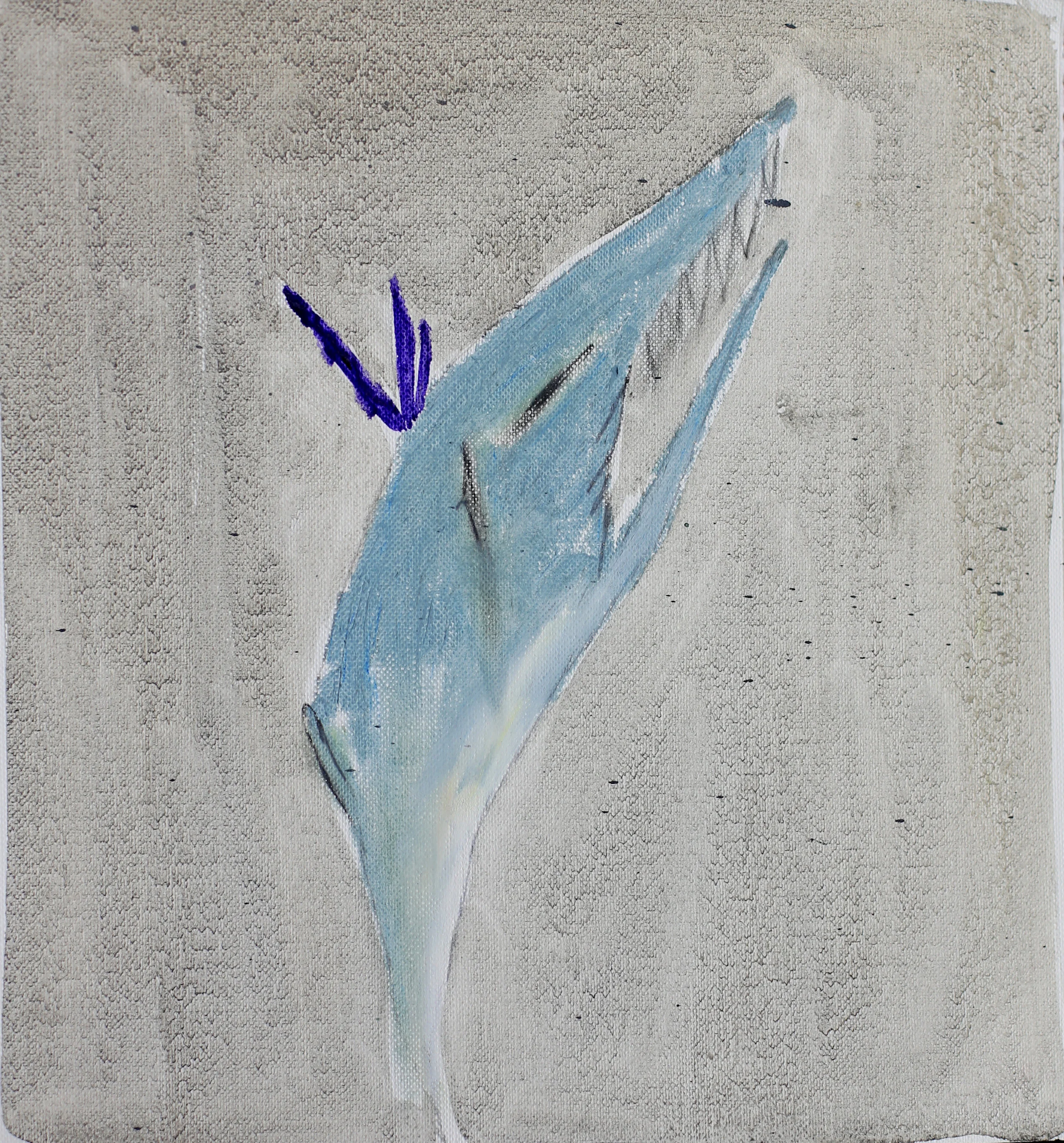   Vulnerable drawing #173    2013, Oil, pencil on terra paper, 22x21cm  