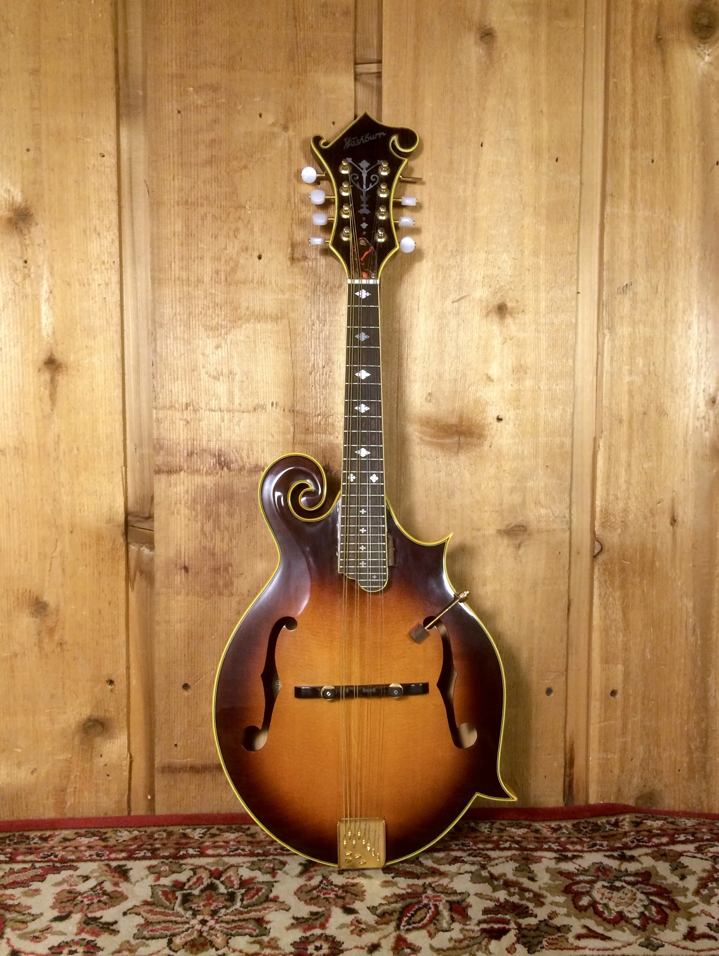 Washburn Mandolin