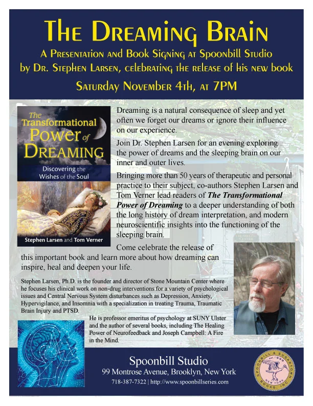 dream-spoonbill.jpg