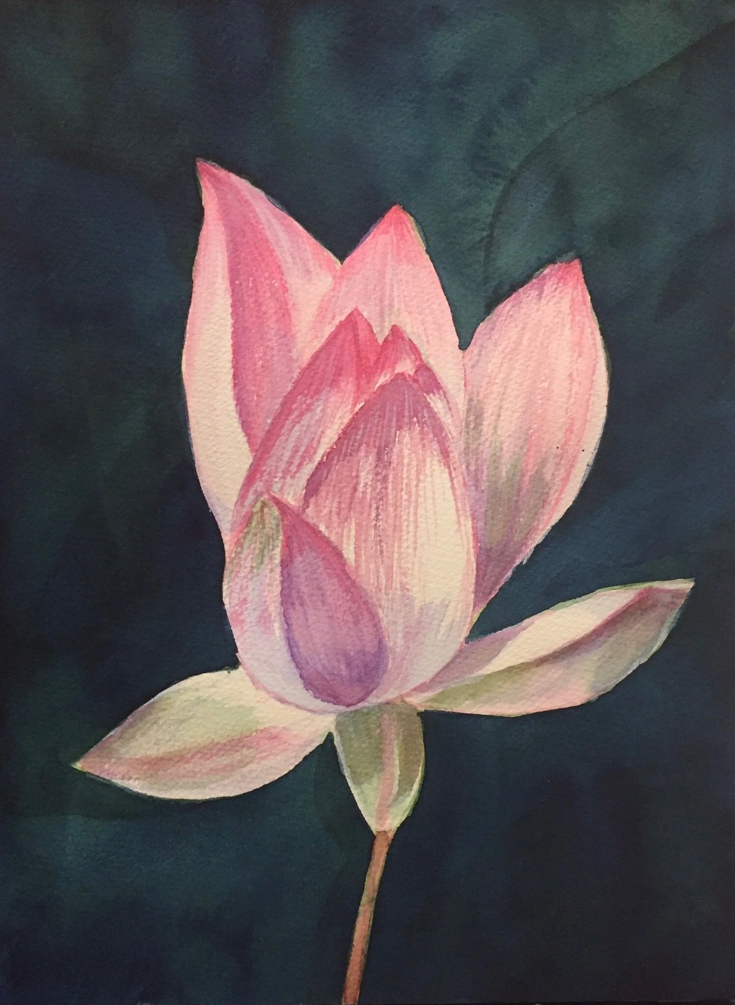 Magnolia Blossom_Watercolor_12x9.jpeg
