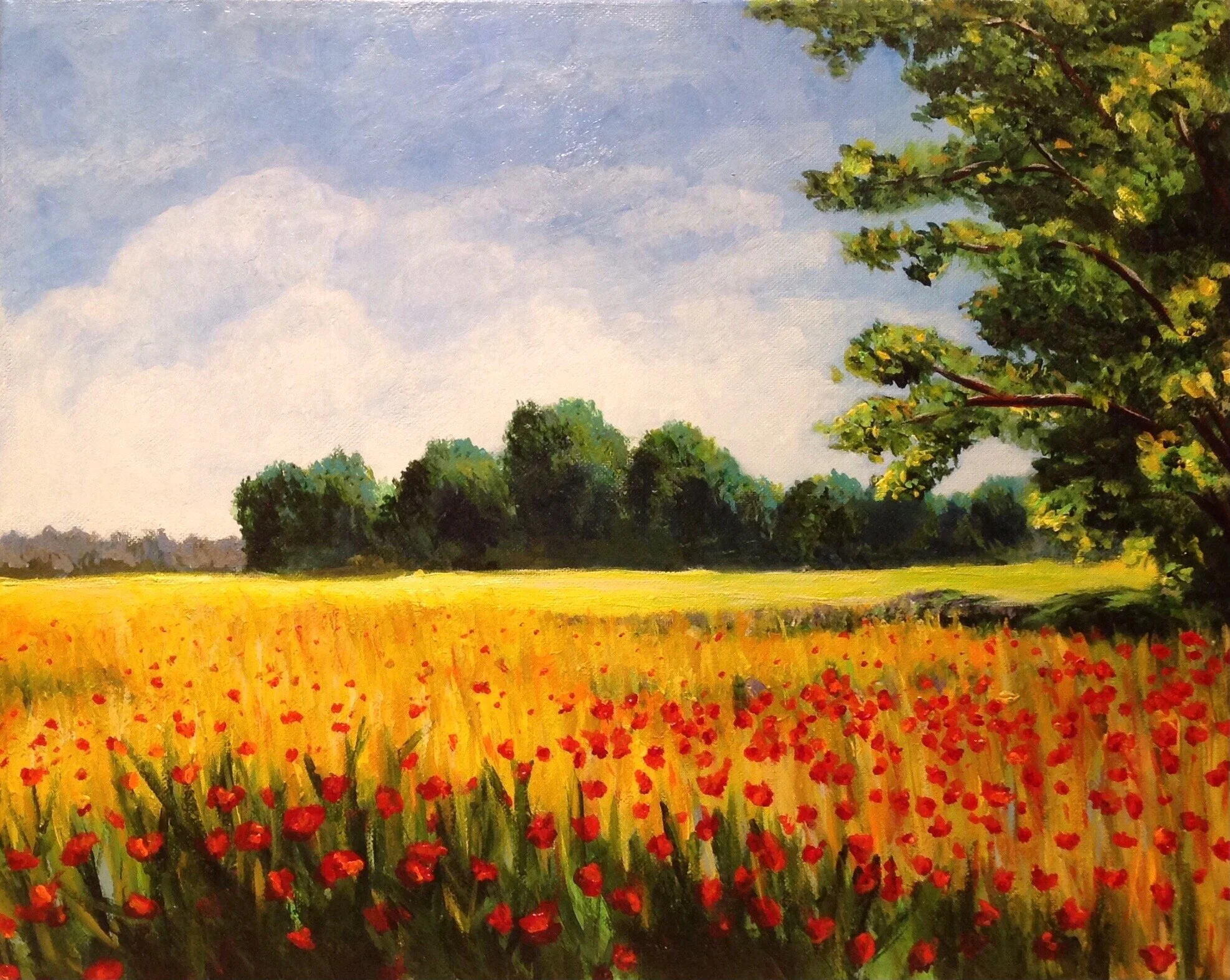 Poppy Field_Acrylic on Canvas_16x20.jpeg