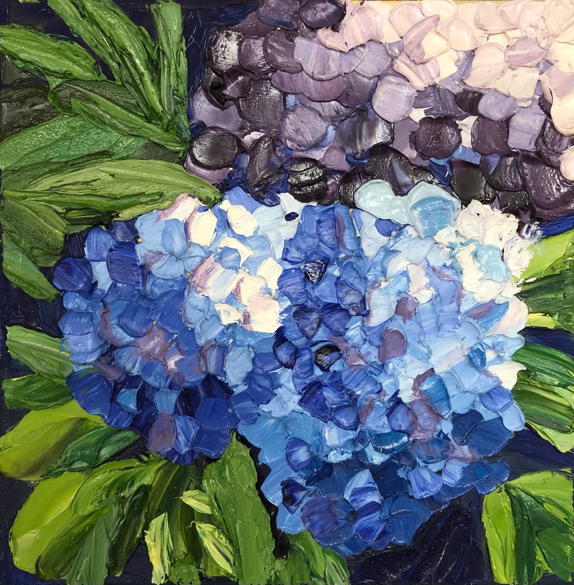 Hydrangea_Oil_10x10x2.jpeg