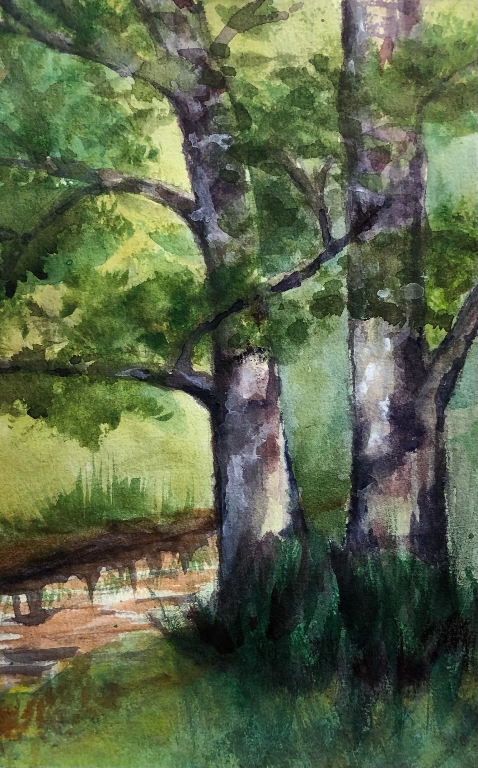 Streamside_Watercolor_9x6.jpeg