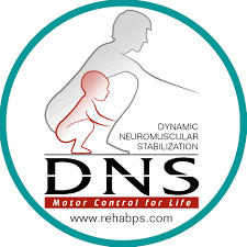 DNS logo.png