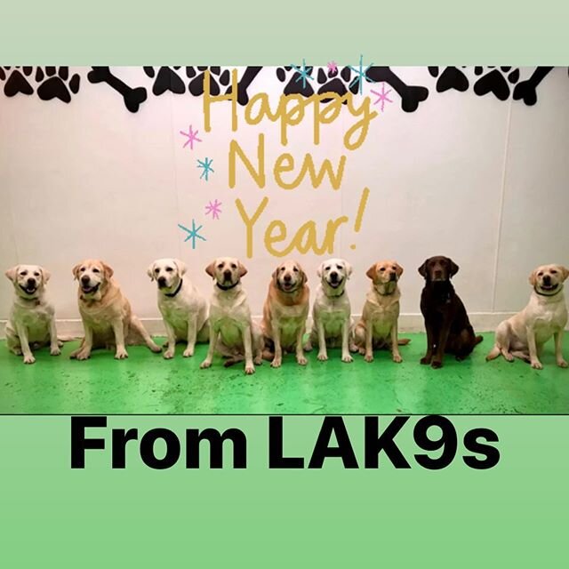 Thank you to everyone in our Pack for making 2019 so memorable! It is with your constant support that we continue to grow and provide a space where people and their dogs can constantly improve and build a stronger relationship!
2020, we can&rsquo;t w