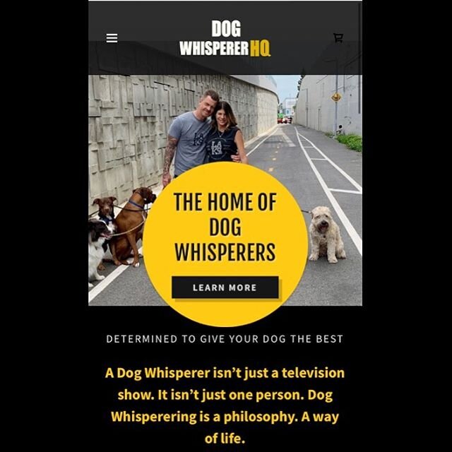 So excited to be featured on The Dog Whisperer! In 2009 I made a video asking my hero Cesar Millan for help with a rescue dog named Maury. After we filmed our episode, Cesar asked me to assist him with some dogs he was working with. For the next 9 ye