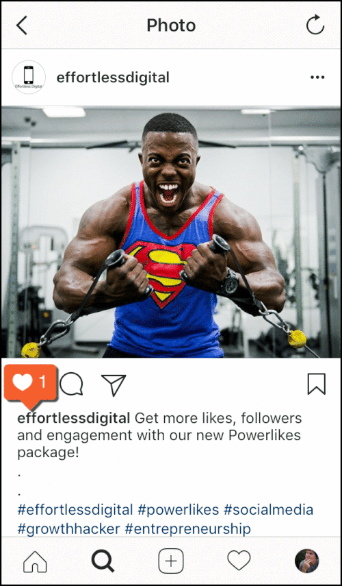how+to+grow+your+instagram.gif