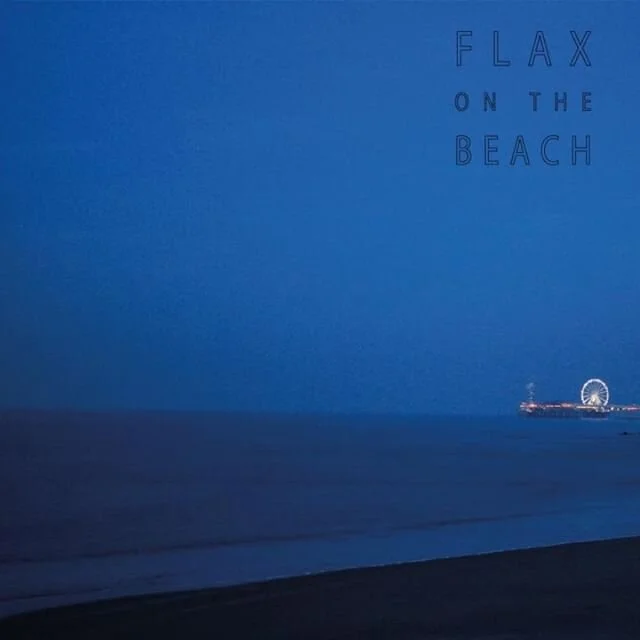 #studiobartvernooij #flaxonthebeach #analog #photography #photooftheday #sea #beachlife #ocean #sand #staybrokeshootfilm #lomography #analogvibes #filmwave #analogclub #bestfilmphoto