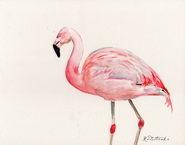 flamingo_lowres.jpg