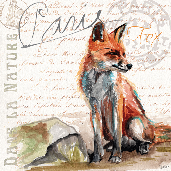 danslanature_fox.jpg