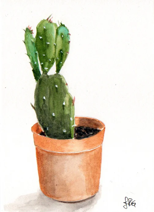 cactus_JRG_2.jpg