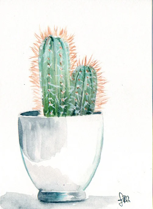 cactus_JRG_4.jpg