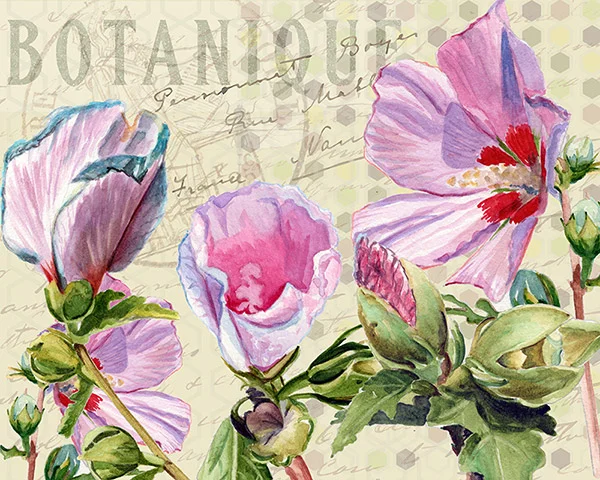 ROSEOFSHARON_redstreake1.jpg
