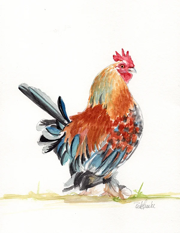 Rooster2.jpg