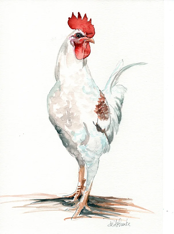 rooster3.jpg