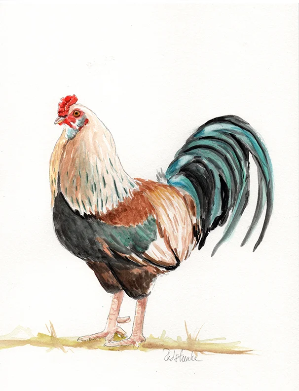 Rooster5.jpg