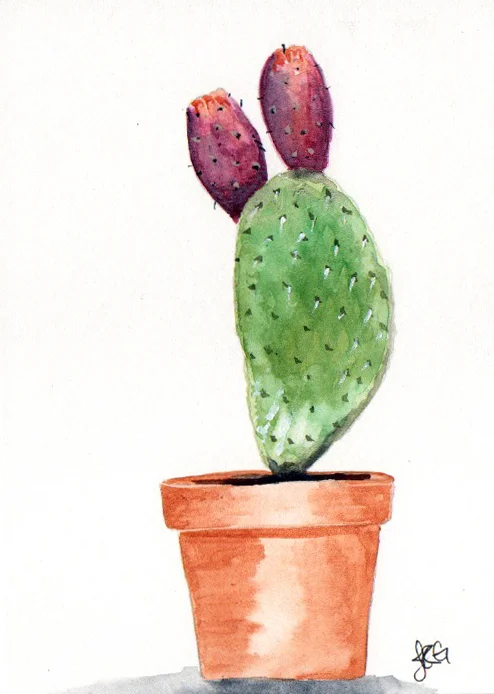 cactus_JRG_1.jpg