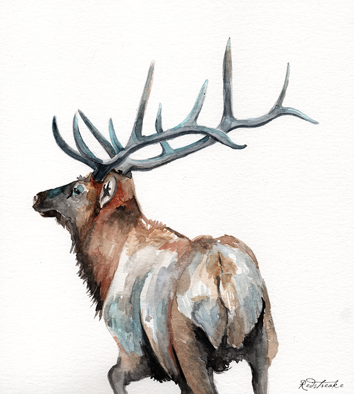 redstreake_reindeer3.png