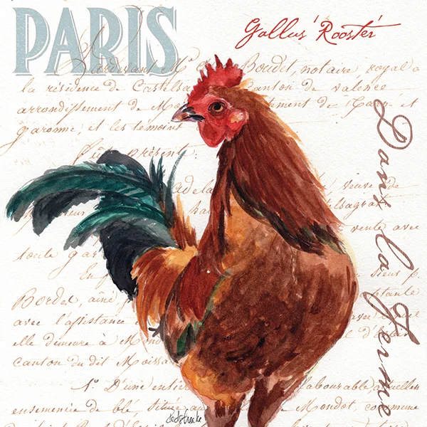 redstreake_danslaferme_rooster2.jpg