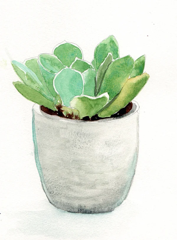 succulent4_lowres.jpg