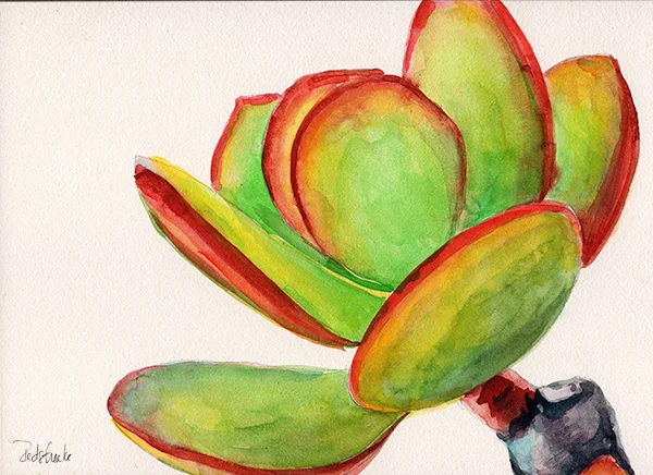 succulent7_lowres.jpg