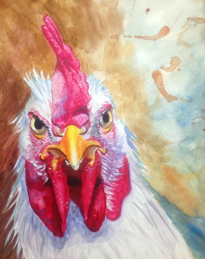 rooster_attitude.jpg