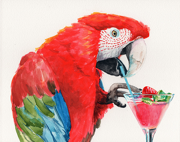 redparrot_drinking_lowres.jpg