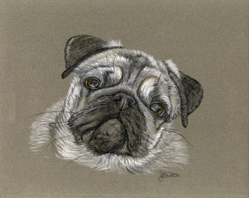 pug_lg.jpg