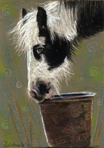 gypsybucket5x7_lg.jpg